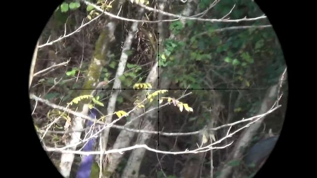 Охота на реке. Страйкбол в Сочи. Airsoft Sniper. смотреть онлайн