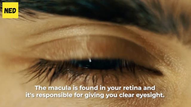 What Are Retinol Benefits and Side Effects For Your Skin смотреть онлайн