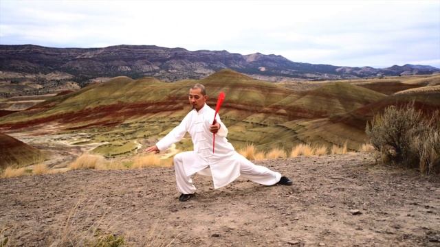 Chen Style Tai Chi Fan смотреть онлайн