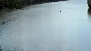 ромашкин ЯР Рязанская область