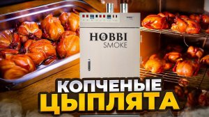 Цыплята корнишоны в камере hobbi smoke