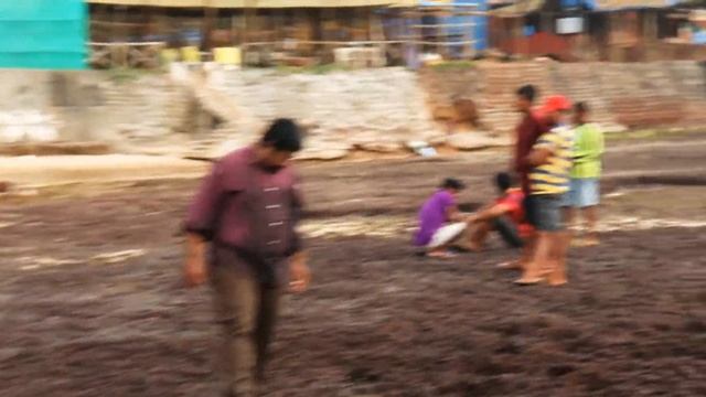 Anjuna beach | goa | top beach in goa | tourist destination