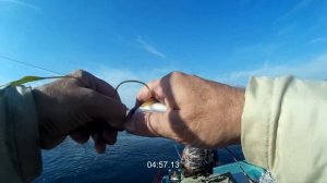 Рабочие 3D НАНО мушки. Великолепная осенняя рыбалка на сибирской реке. Хариус на поплавок.