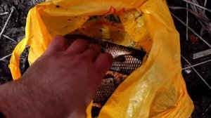 карась весной ловля на пенопласт