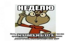 Почему в минвате заводятся мыши