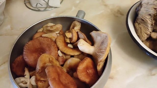 Солю грибы ГРУЗДИ и РЫЖИКИ в горячем рассоле. Классная дача. Костанай. смотреть онлайн