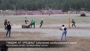 "ЭМДИК АТ УРЕДИШ" ОБУЧЕНИЕ НЕОБУЗДАННОГО КОНЯ! РЕСПУБЛИКА АЛТАЙ/ЭЛ-ОЙЫН 2018/УЛАГАН