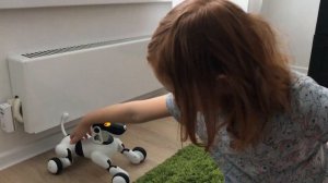 ЖИЗНЬ С РОБОТОМ. ИНТЕРАКТИВНАЯ СОБАКА АЛИСЫ