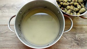 Варенье из сосновых шишек с мятой