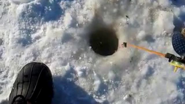 Рыбалка на Ейском Лимане - поклевка(5.02.12) смотреть онлайн