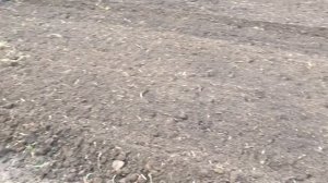 Lovol 504 культивирует целину под посев газона