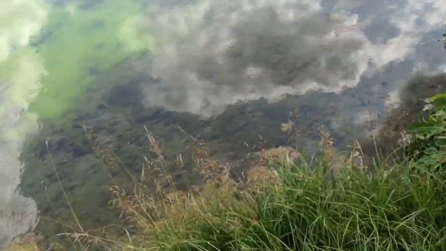 Купель Струги-Красные