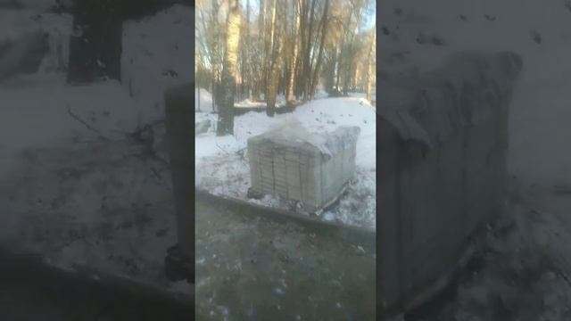 Как в мороз положить брусчатку? Оказывается можно))