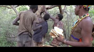 Hadzabe hunter gatherers made it again | WHAT HAPPENS NEXT