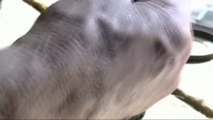 ремонтируем болгарку калибр