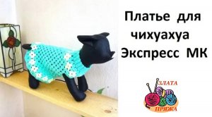 Платье для чихуахуа Экспресс МК