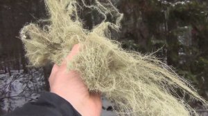 Рыбалка 2023  Тайга СИБИРЬ ПИКНИК ОХОТА ВЫЖИВАНИЕ СЧАСТЛИВЫЕ ЛЮДИ Исходник река Рудиковка