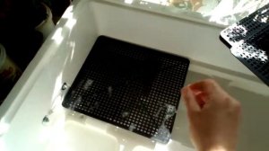 Подготовка инкубатора "несушка" к инкубации куриных яиц.