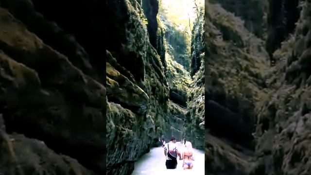 Из Сочи в Каньоны Хашупсе и Заповедник Мюссера  Удивительная природа и приключения #отдых #туризм