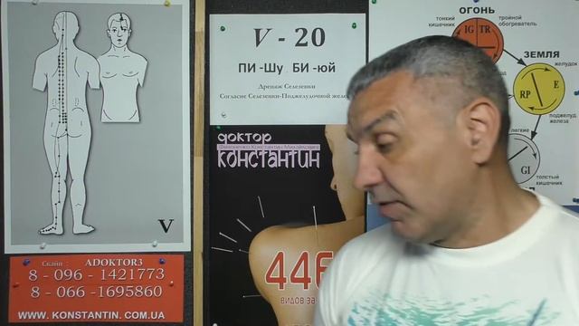 Крапивница