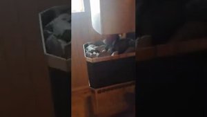 Отзыв печь Теплодар Русь 12