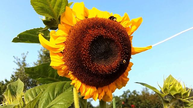 2016 07 27 04 51 16 смотреть онлайн