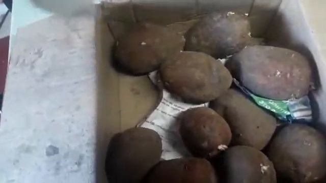 Посылка с картошкой Уника и Сарпо Мира смотреть онлайн