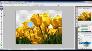 PHOTOSHOP BASIC IN TAMIL CS3