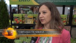 Путь на БИО: формирование ценности как ключевого инструмента продаж