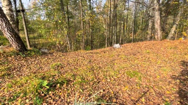 Место для отдыха на берегу реки смотреть онлайн