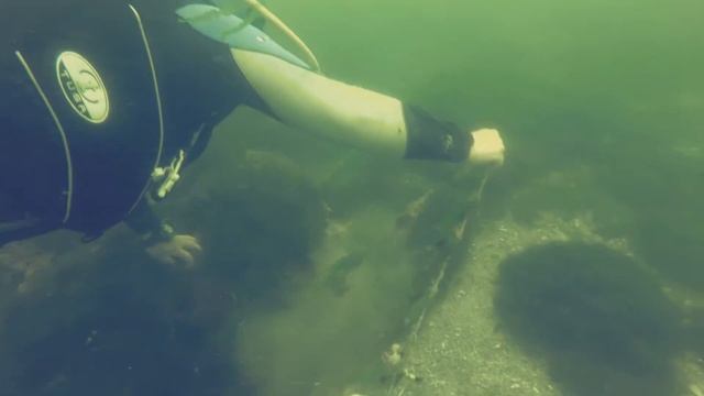 Оставленная рыболовная сеть. Спасение крабов смотреть онлайн