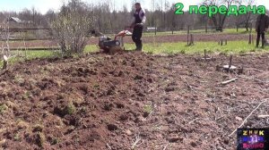 Разрабатываем газон