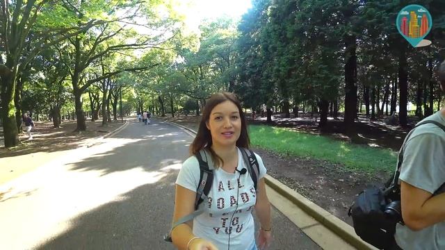 Кафе с автоматами вместо людей. Япония| Токио| Серия 3 смотреть онлайн