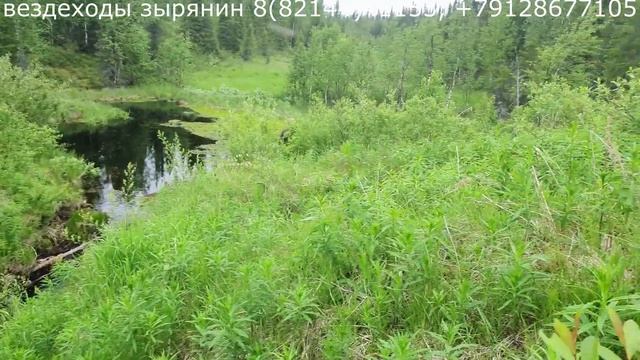 Вездеходы Зырянин Нашли в тундре беспилотник смотреть онлайн