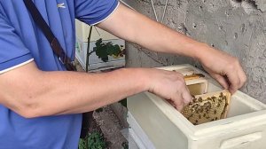 малоформатный улей, облегчаем вывод маток на следующий год