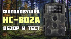 Фотоловушка HC-802A. Обзор и тест.