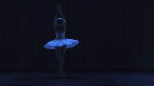 Перрен Ирина Умирающий лебедь