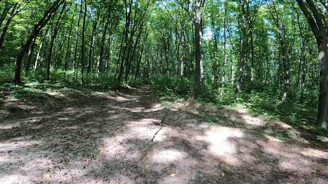 Коп с Nokta Makro LEGEND Первые находки и мнение о Металлоискателе смотреть онлайн