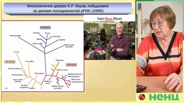 Біорізноманіття та біологічна систематика. Частина І. смотреть онлайн