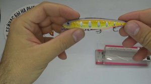 Обзор воблера Iam Master Elected MR по заказу Fmagazin