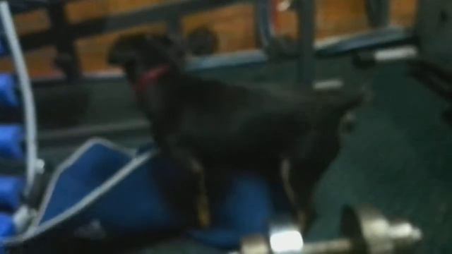 VID 20140605 203722 смотреть онлайн