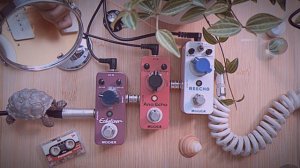 🤑Mooer Delay Comparison | Reecho | Ana Echo | Echolizer(no talking)