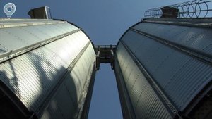 Новосибирские элеваторы готовы не только обеспечить регион зерном, но и отправить продукт на экспор