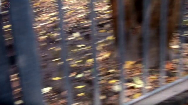 7 zoo зоопарк смотреть онлайн