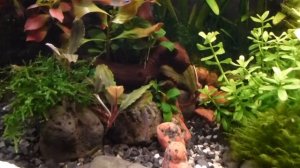 Оризиас Вовора