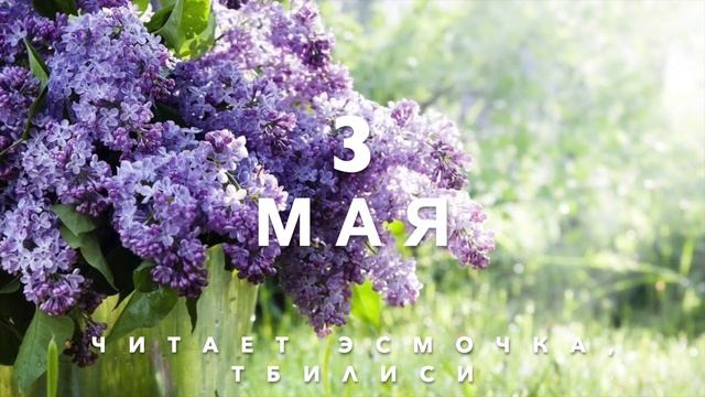 3 Мая - Счастливая медитация смотреть онлайн