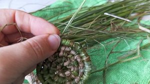 Плетение из ириса сибирского.
Нюансы