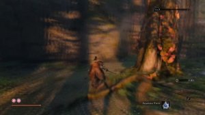 Все семечки тыквы в Sekiro: Shadows Die Twice Где найти? Достижение Лучшая фляга с лекарством