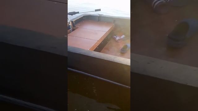 Немного о нашей Garvey11 из ПНД смотреть онлайн