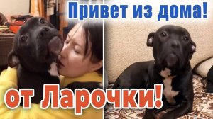 ❤️ Друзья, ЛАРОЧКА передаёт вам всем привет из СВОЕГО ДОМА❤️..  Спасибо за помощь и репосты❗❗